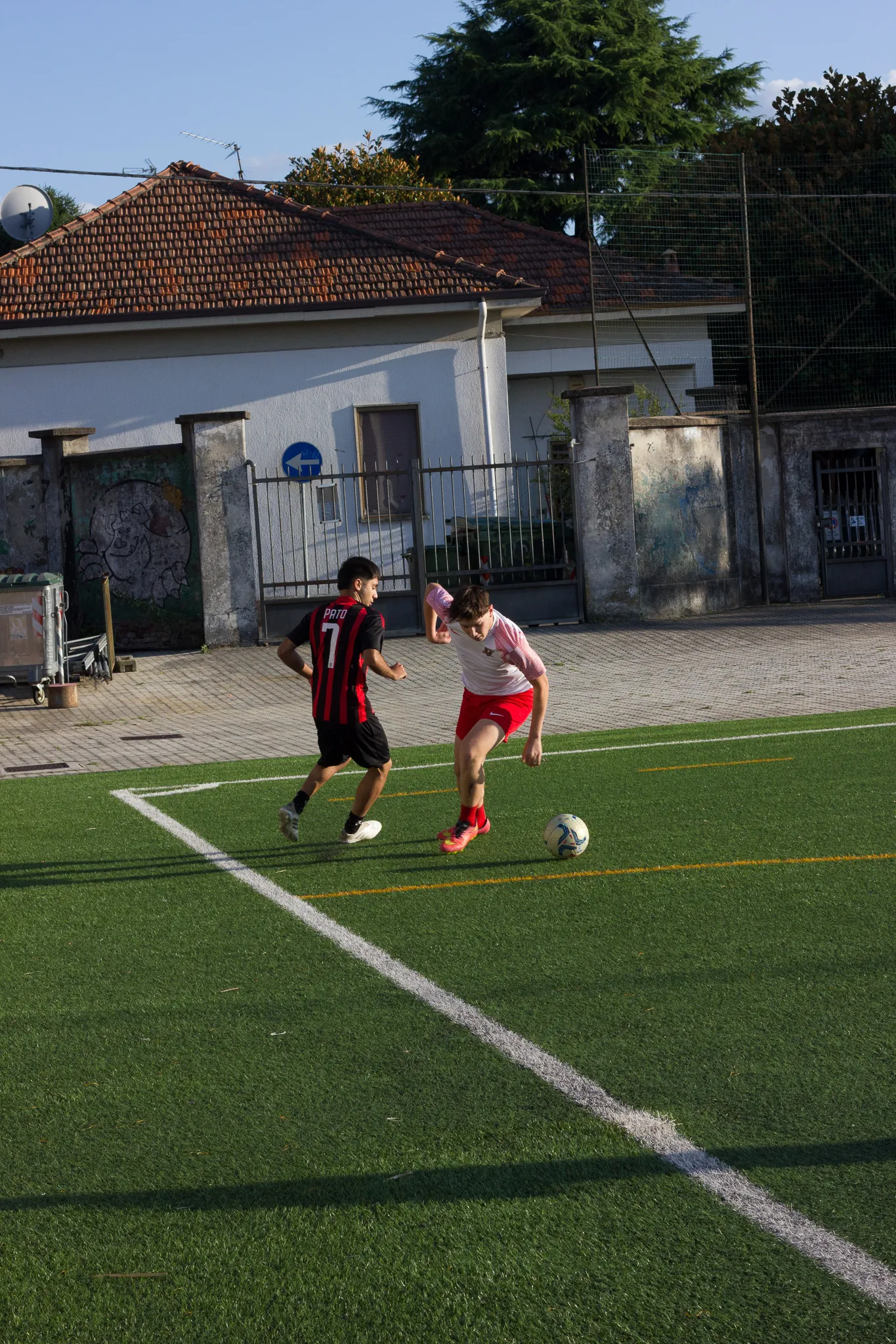 Immagine